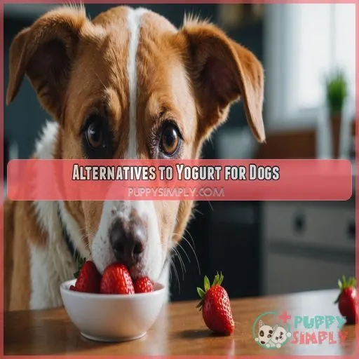 Alternatives to Yogurt for Dogs