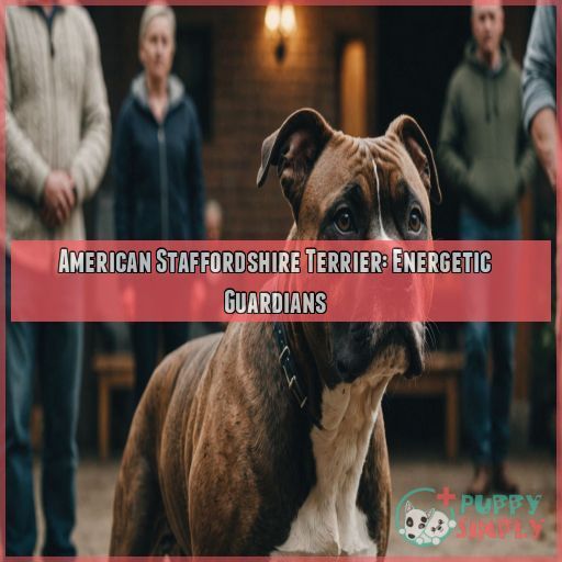 American Staffordshire Terrier: Energetic Guardians