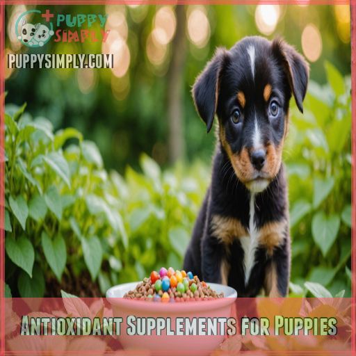 Antioxidant Supplements for Puppies