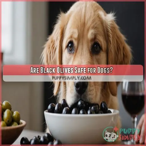 Are Black Olives Safe for Dogs