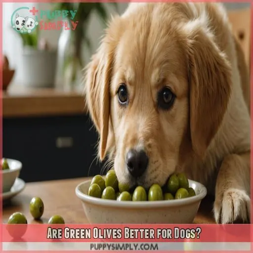 Are Green Olives Better for Dogs