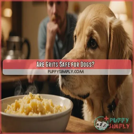 Are Grits Safe for Dogs