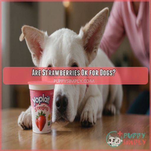 Are Strawberries Ok for Dogs