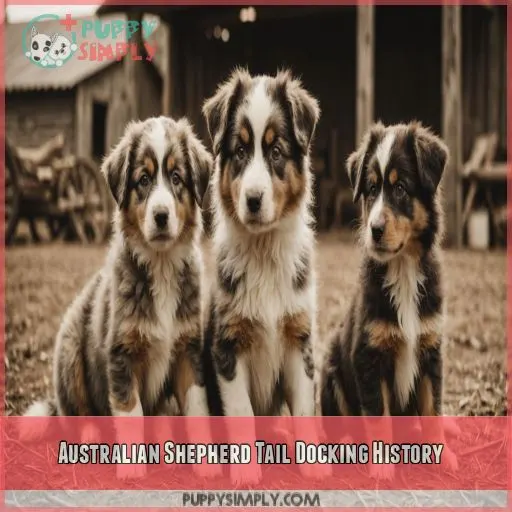 Australian Shepherd Tail Docking History