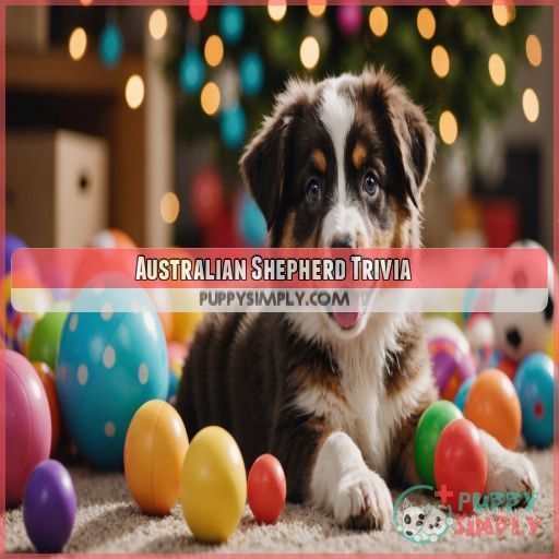 Australian Shepherd Trivia