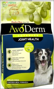 AvoDerm Natural Advanced Joint Health