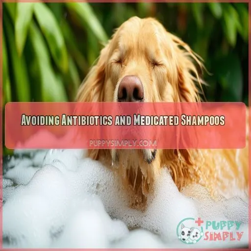 Avoiding Antibiotics and Medicated Shampoos