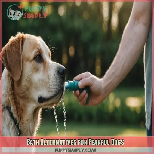 Bath Alternatives for Fearful Dogs