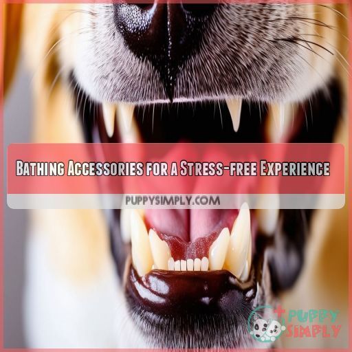 Bathing Accessories for a Stress-free Experience Bathing Accessories for a Stress-free Experience
