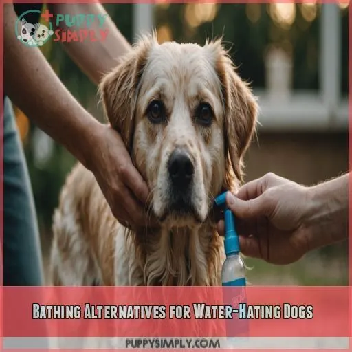 Bathing Alternatives for Water-Hating Dogs