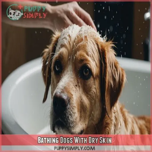 Bathing Dogs With Dry Skin