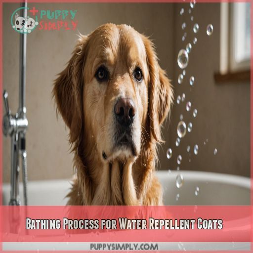 Bathing Process for Water Repellent Coats