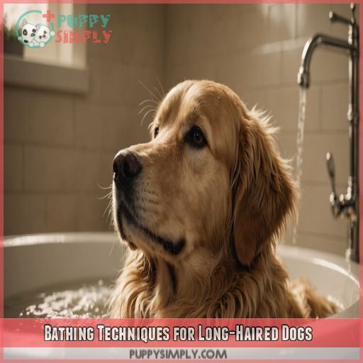 Bathing Techniques for Long-Haired Dogs Bathing Techniques for Long-Haired Dogs