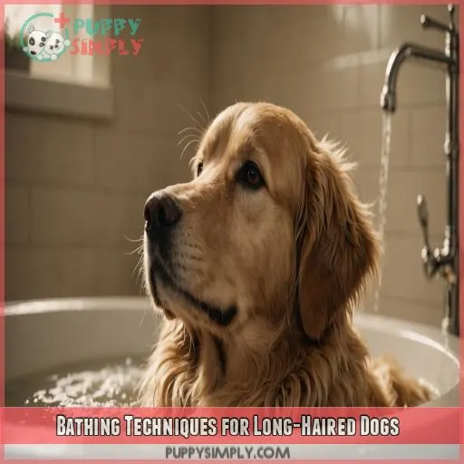 Bathing Techniques for Long-Haired Dogs