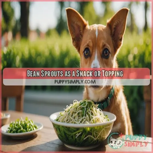 Bean Sprouts as a Snack or Topping