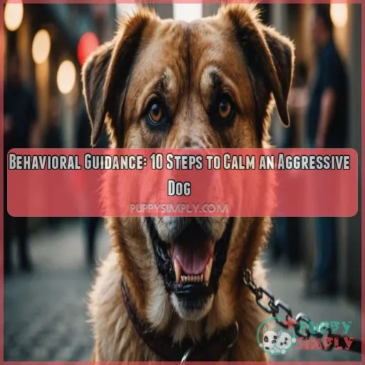 Behavioral guidance aggressive dogs