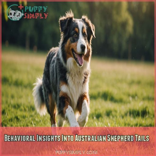 Behavioral Insights Into Australian Shepherd Tails