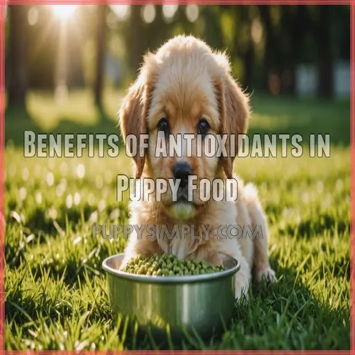 Benefits of Antioxidants in Puppy Food