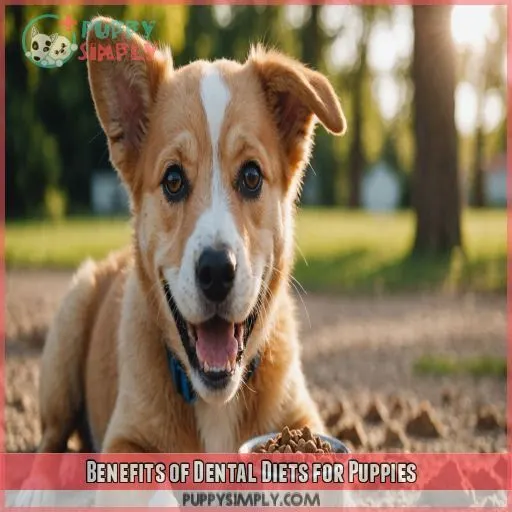 Benefits of Dental Diets for Puppies