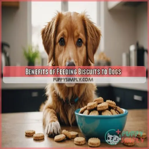 Benefits of Feeding Biscuits to Dogs