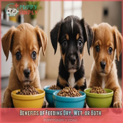 Benefits of Feeding Dry, Wet, or Both