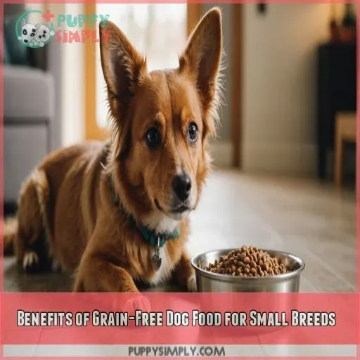 Benefits of Grain-Free Dog Food for Small Breeds