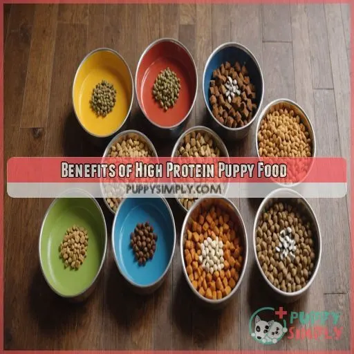 Benefits of High Protein Puppy Food