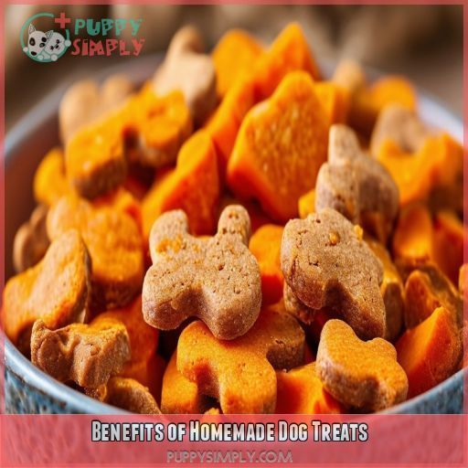 Benefits of Homemade Dog Treats