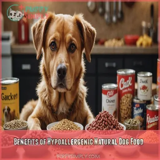 Benefits of Hypoallergenic Natural Dog Food