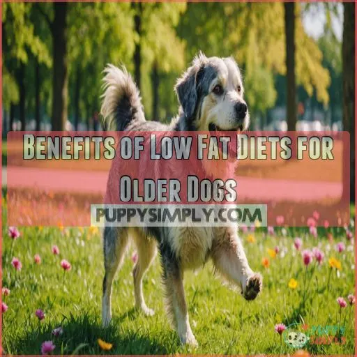 Benefits of Low Fat Diets for Older Dogs