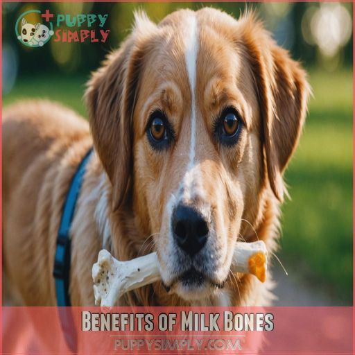 Benefits of Milk Bones