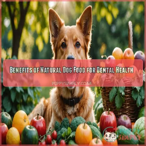 Benefits of Natural Dog Food for Dental Health