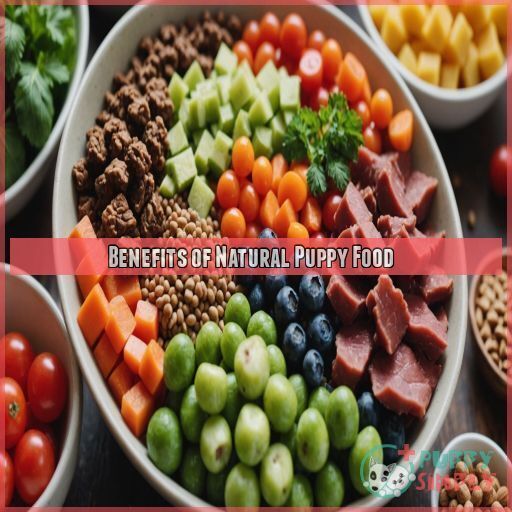 Benefits of Natural Puppy Food Benefits of Natural Puppy Food