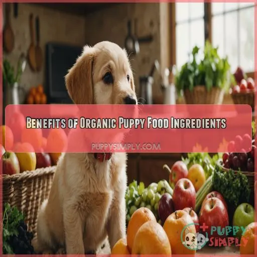 Benefits of Organic Puppy Food Ingredients