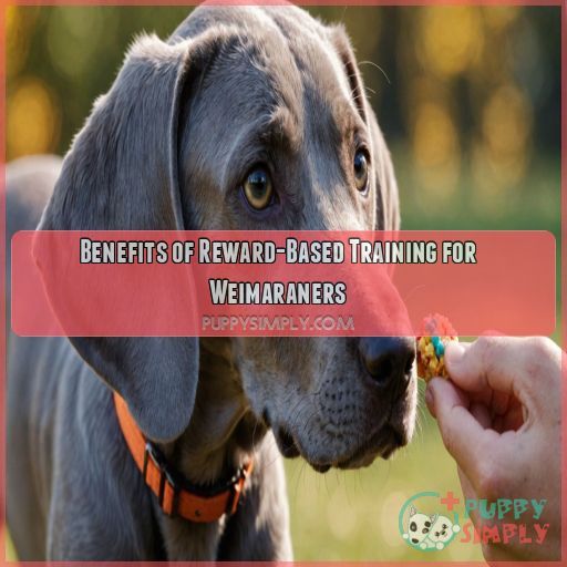 Benefits of Reward-Based Training for Weimaraners