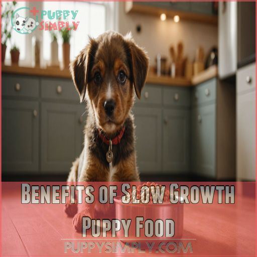 Benefits of Slow Growth Puppy Food