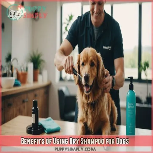 Benefits of Using Dry Shampoo for Dogs