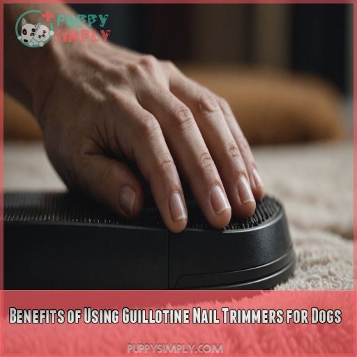 Benefits of Using Guillotine Nail Trimmers for Dogs Benefits of Using Guillotine Nail Trimmers for Dogs