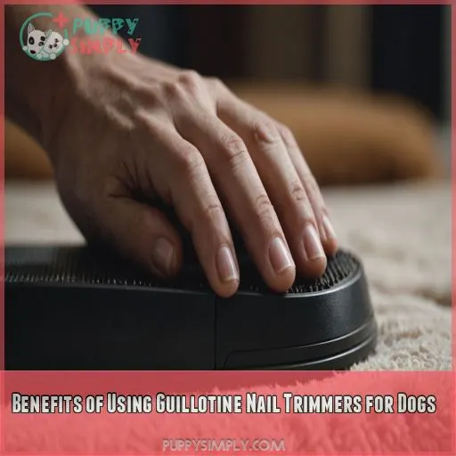 Benefits of Using Guillotine Nail Trimmers for Dogs