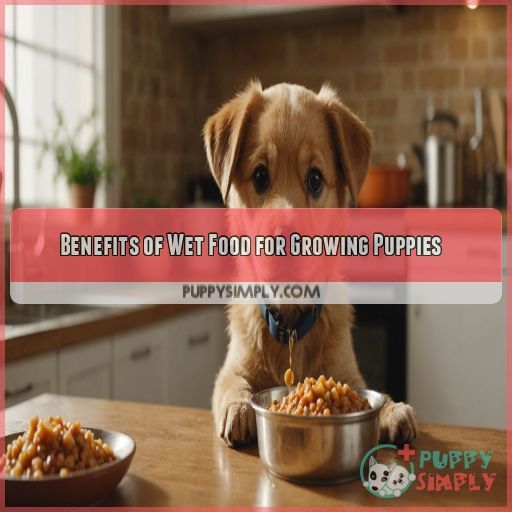 Benefits of Wet Food for Growing Puppies