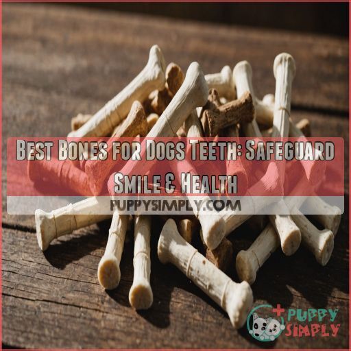 Best Bones for Dogs Teeth Safeguard Smile & Health