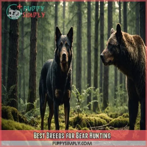 Best Breeds for Bear Hunting