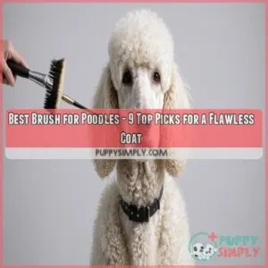 best brush for poodles