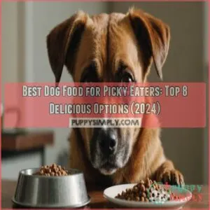 best dog food for picky eaters