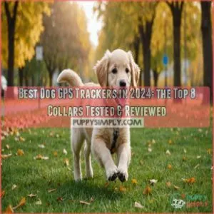 best dog gps tracker