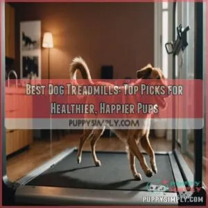 best dog treadmills