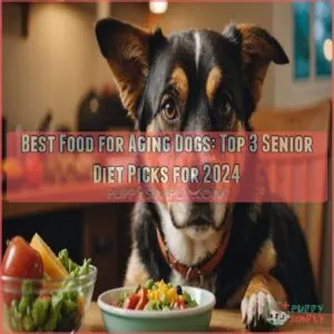 Best food for aging dogs