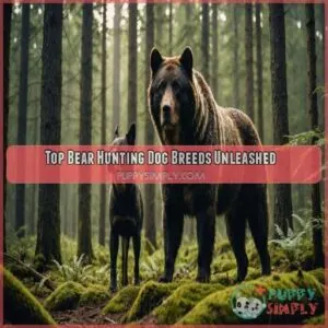 Best hunting dog breeds for bears