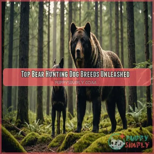 Best hunting dog breeds for bears