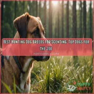 Best hunting dog breeds for scenting